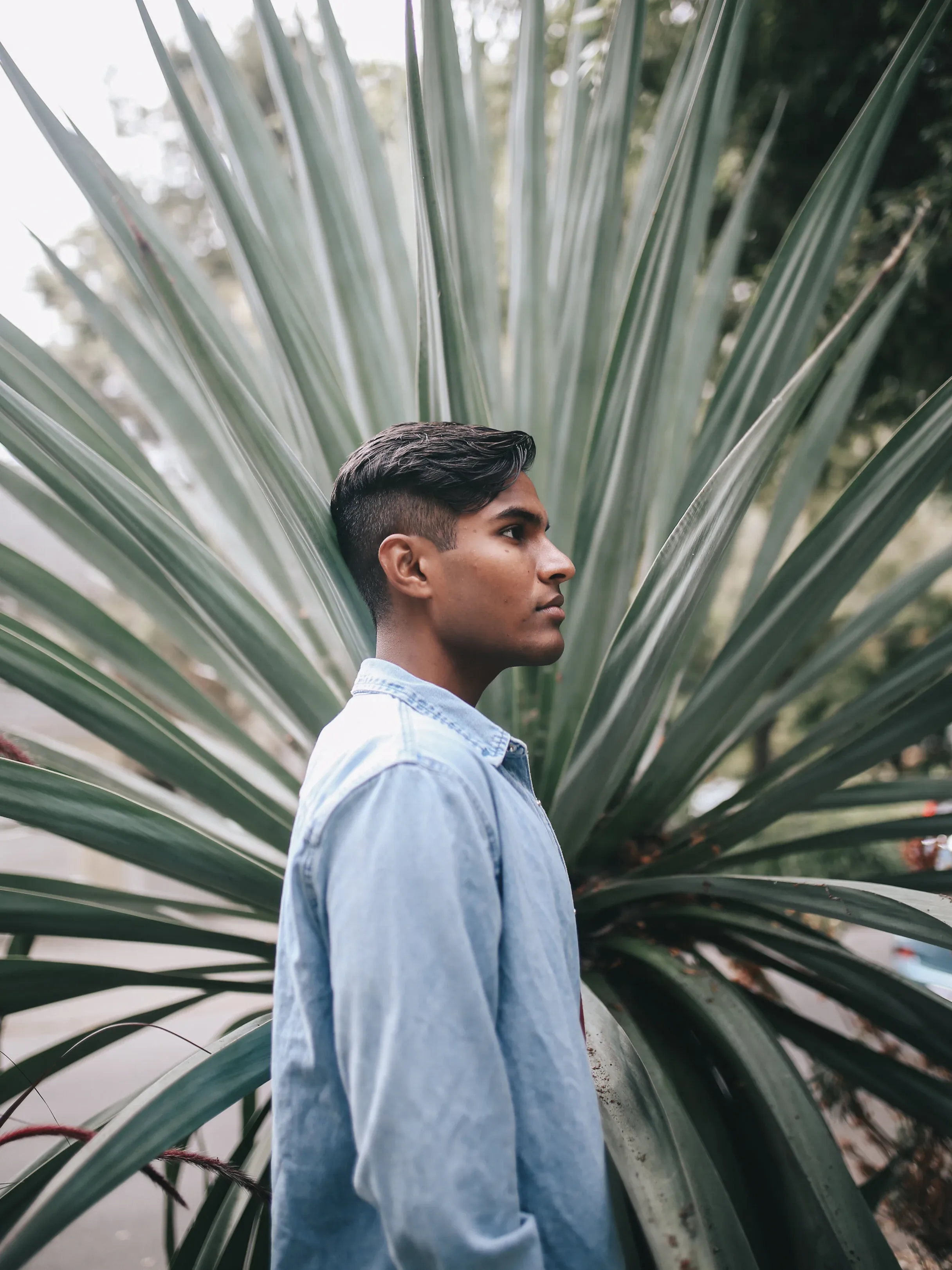 Siddharth Kusuma, photo 12